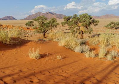 Namibia Desert Homestead Lodge